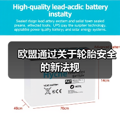 欧盟通过关于轮胎安全的新法规（图2）