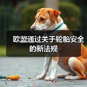 欧盟通过关于轮胎安全的新法规（图3）
