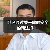 欧盟通过关于轮胎安全的新法规（图4）