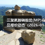 三聚氰胺磷酸盐(MP)商品报价动态(2026-01-13) 来源:互联网 2026-01-17(图2) 三聚氰胺磷酸盐(MP)商品报价动态(2026-01-13) 来源:互联网 2026-01-17(图2)