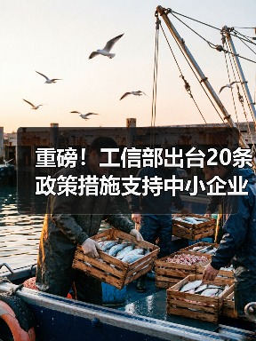 重磅！工信部出台20条政策措施支持中小企业复工复产渡过难关（图3）