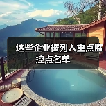 这些企业被列入重点监控点名单（图2）