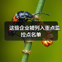 这些企业被列入重点监控点名单（图4）