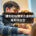 绿色轮胎相关方案和标准即将出台