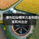 绿色轮胎相关方案和标准即将出台（图3）