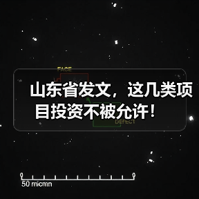 山东省发文，这几类项目投资不被允许！（图2）
