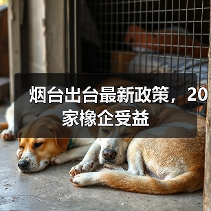 烟台出台最新政策，20家橡企受益（图4）