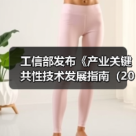 工信部发布《产业关键共性技术发展指南（2017年）》（图3）