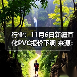 行业：11月6日新疆宜化PVC报价下调 来源：互联网 2025-11-06（图2）