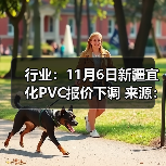 行业：11月6日新疆宜化PVC报价下调 来源：互联网 2025-11-06（图4）