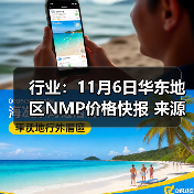行业：11月6日华东地区NMP价格快报 来源：互联网 2025-11-06（图2）