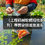 《工程机械轮辋规格系列》等国家标准批准发布（图2）