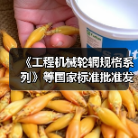《工程机械轮辋规格系列》等国家标准批准发布（图3）