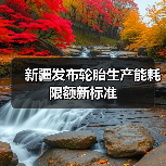 新疆发布轮胎生产能耗限额新标准（图2）