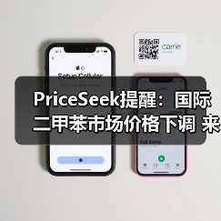 PriceSeek提醒：国际二甲苯市场价格下调 来源：互联网 2025-11-06（图3）