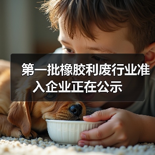 第一批橡胶利废行业准入企业正在公示（图4）