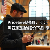 PriceSeek提醒：河北焦亚硫酸钠报价下跌 来源：互联网 2025-11-06（图2）