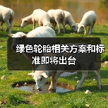 绿色轮胎相关方案和标准即将出台（图4）