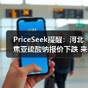 PriceSeek提醒：河北焦亚硫酸钠报价下跌 来源：互联网 2025-11-06（图4）