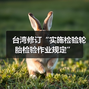 台湾修订“实施检验轮胎检验作业规定”（图4）