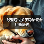 欧盟通过关于轮胎安全的新法规（图3）