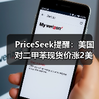 PriceSeek提醒：美国对二甲苯现货价涨2美元利好 来源：互联网 2025-11-06（图2）