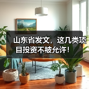 山东省发文，这几类项目投资不被允许！（图2）