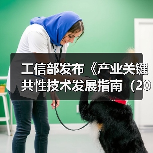 工信部发布《产业关键共性技术发展指南（2017年）》（图3）