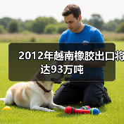 2012年越南橡胶出口将达93万吨