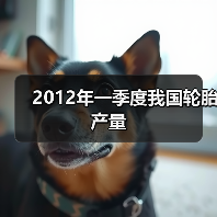 2012年一季度我国轮胎产量(图1) 2012年一季度我国轮胎产量(图1)