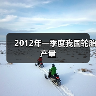 2012年一季度我国轮胎产量(图4) 2012年一季度我国轮胎产量(图4)