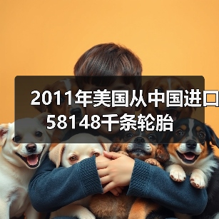 2011年美国从中国进口58148千条轮胎（图2）