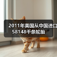 2011年美国从中国进口58148千条轮胎（图4）