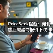 PriceSeek提醒：河北焦亚硫酸钠报价下跌 来源：互联网 2025-11-06（图3）