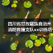 四川省甘孜藏族自治州消防救援支队xx训练塔及特勤站值班备勤室维修项目竞争性磋商公告 来源：互联网 2025-11-06（图1）