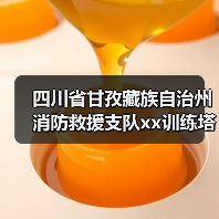 四川省甘孜藏族自治州消防救援支队xx训练塔及特勤站值班备勤室维修项目竞争性磋商公告 来源：互联网 2025-11-06（图4）