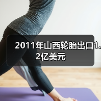 2011年山西轮胎出口1.2亿美元