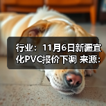 行业：11月6日新疆宜化PVC报价下调 来源：互联网 2025-11-06（图4）