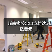 越南橡胶出口或将达36亿美元（图3）
