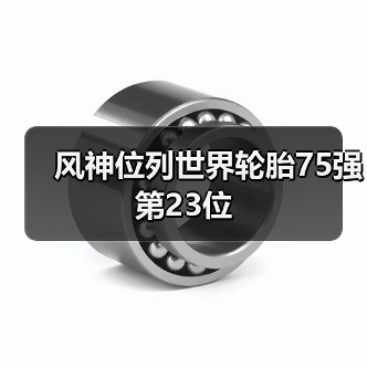 风神位列世界轮胎75强第23位(图4) 风神位列世界轮胎75强第23位(图4)