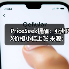 PriceSeek提醒：亚洲PX价格小幅上涨 来源：互联网 2025-11-06（图4）