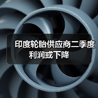 印度轮胎供应商二季度利润或下降(图3) 印度轮胎供应商二季度利润或下降(图3)