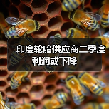 印度轮胎供应商二季度利润或下降(图4) 印度轮胎供应商二季度利润或下降(图4)