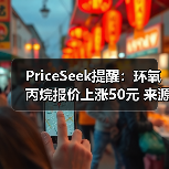 PriceSeek提醒：环氧丙烷报价上涨50元 来源：互联网 2025-11-06（图3）