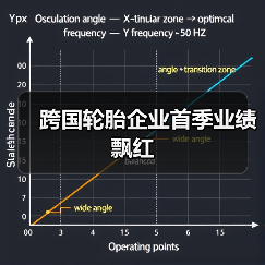 跨国轮胎企业首季业绩飘红（图3）