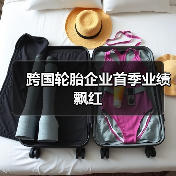 跨国轮胎企业首季业绩飘红(图1) 跨国轮胎企业首季业绩飘红(图1)