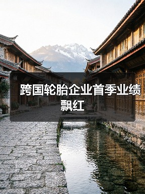 跨国轮胎企业首季业绩飘红(图2) 跨国轮胎企业首季业绩飘红(图2)