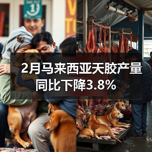 2月马来西亚天胶产量同比下降3.8%（图4）