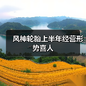 风神轮胎上半年经营形势喜人(图2) 风神轮胎上半年经营形势喜人(图2)