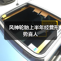风神轮胎上半年经营形势喜人(图3) 风神轮胎上半年经营形势喜人(图3)